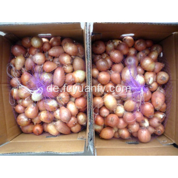 Frische gelbe Zwiebel mit hoher Qualität für den Export